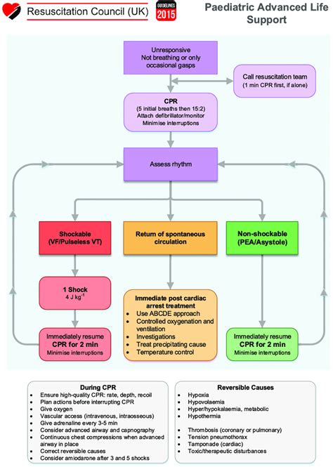 Algorithm For Paediatric Advanced Life Support Reproduced With Kind
