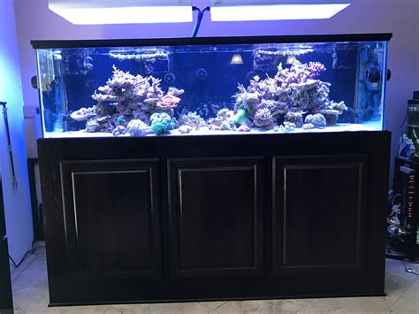 300 Gallon Glass Aquarium Ph