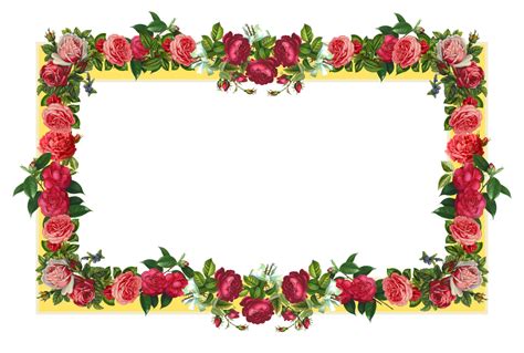 Flower Frame PNG Images Transparent Free Download | PNGMart.com