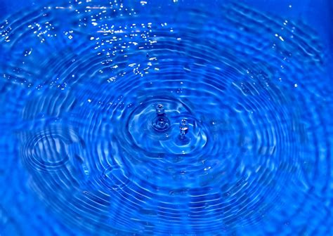 Free Images Drop Dew Liquid Wave Flower Ripple Line Blue