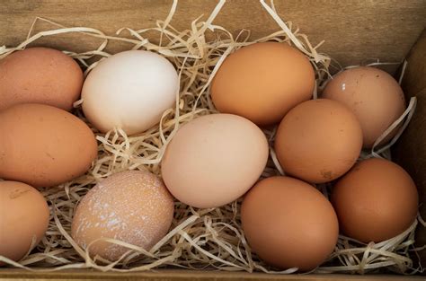 Washington Post Writer Slammed For Column Saying Eggs Arent So