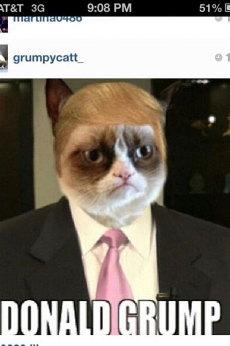 20 Best Grumpy Cat Memes To Convert A Face To A Smiley Face