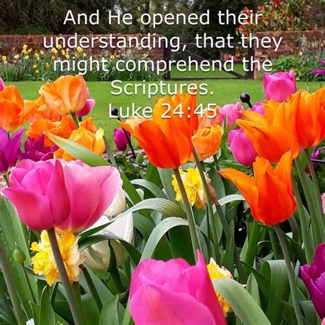 Luke 2445 And He Opened Their Understanding That They Might