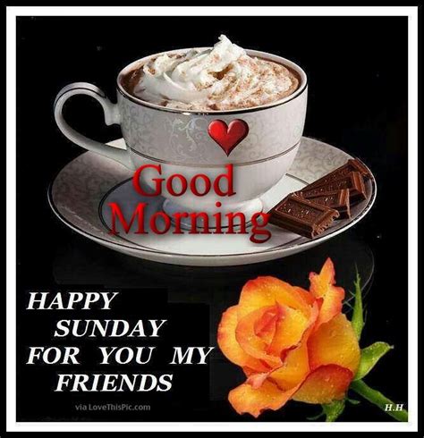 Good Morning Happy Sunday My Friends Pictures Photos And Images For