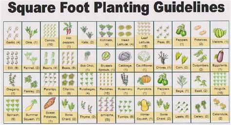 Eat Live Grow Paleo Square Foot Gardening Planning Square Foot