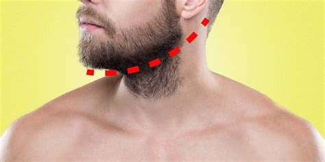 Heres How To Trim A Beard Neckline Dollar Shave Club