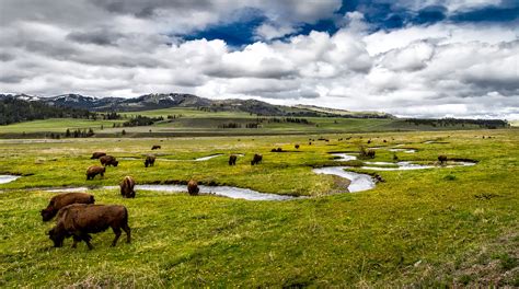 Free Images Landscape Water Nature Grass Wilderness Sky Field