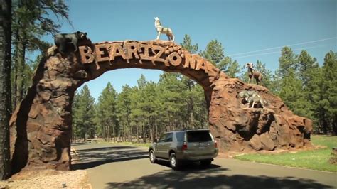Flagstaff Lifestyle Great Things To Do In Arizona Youtube