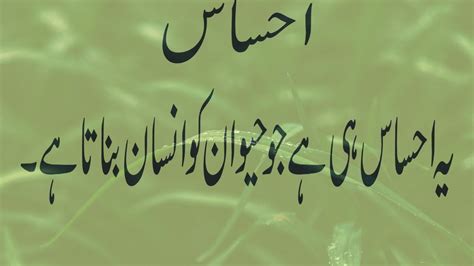 Best quotes of hazrat ali. Best Aqwal-E-Zareen In Urdu / Best Collection Of Urdu Quotes / Sunehre A... | Urdu quotes, Urdu ...