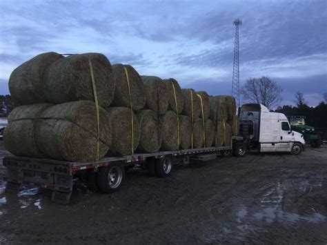 Tractor Supply Hay Netsocial Post Detail
