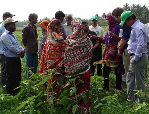 Empowering Women Farmers In The Polder Communities Of Bangladesh Rice