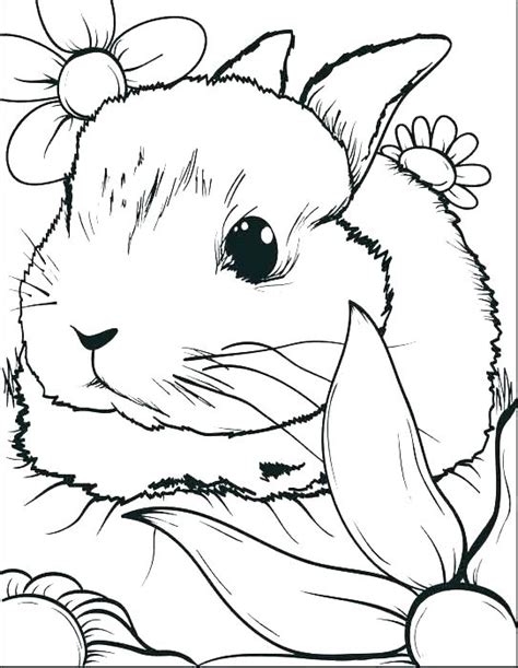 Cute Bunny Coloring Pages At Free Printable
