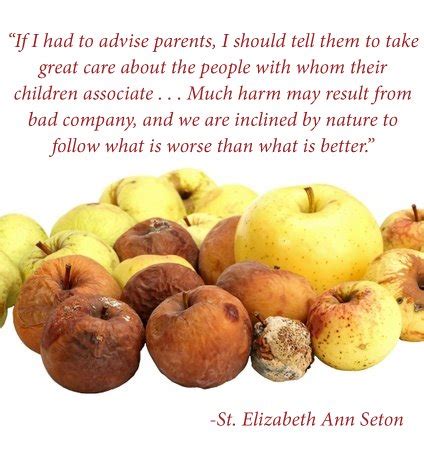 Elizabeth ann seton is a large, vibrant roman catholic parish in plano, tx. Words To Live By | GADEL.info - Quotes, Proverbs, Sayings