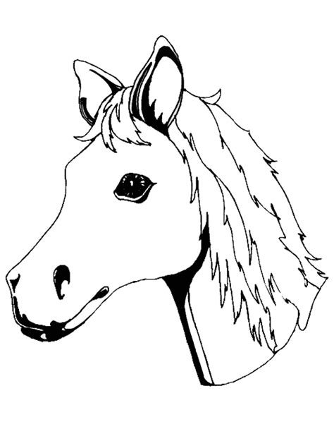 Konji Bojanke Za Printanje Sketch Coloring Page