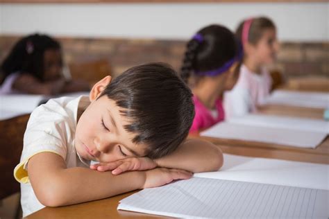Children Who Nap Midday Are Happier Excel Academically And Have Fewer