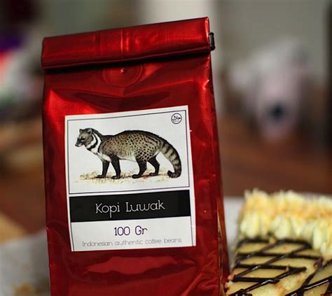 Cat Butt Coffee A Critical Review Boing Boing
