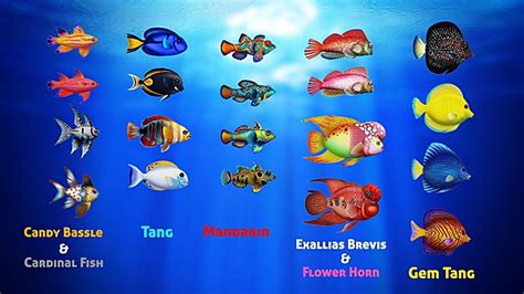 110 Jenis Ikan Laut, Nama-Nama, Habitat, Ciri Fisik, Sifat dan Gambarnya