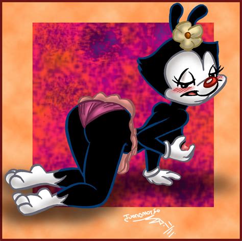 Rule 34 2011 Animaniacs Anthro Ass Black Fur Blush Breasts Clothes