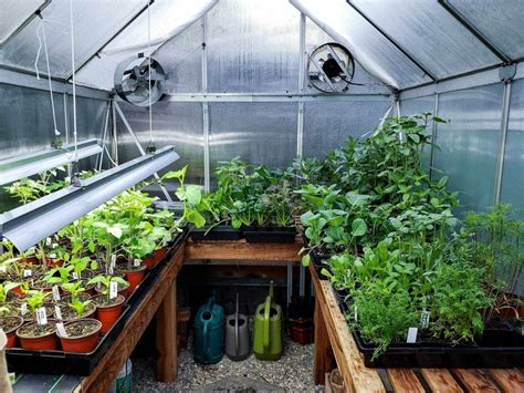 A Beginners Guide To Using A Hobby Greenhouse Homestead And Chill
