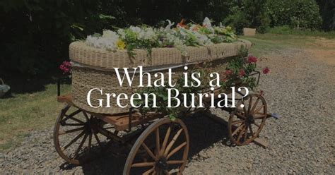 What Is A Green Burial Cremation Funeral Pre Planning Raleigh Nc