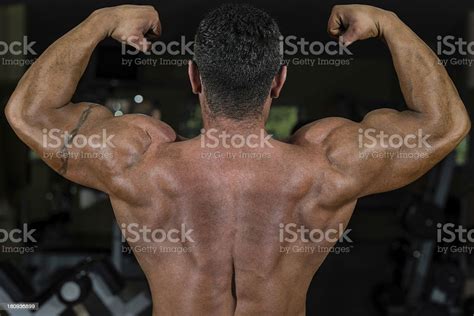 근육질의 Bodybuilder 표시중 그릐 등근육 푸지 팔근육 Flex Singer에 대한 스톡 사진 및 기타 이미지 iStock