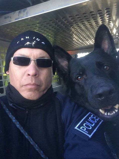Police Dogs Actually Have Titanium Placed On Their Canine Teeth To