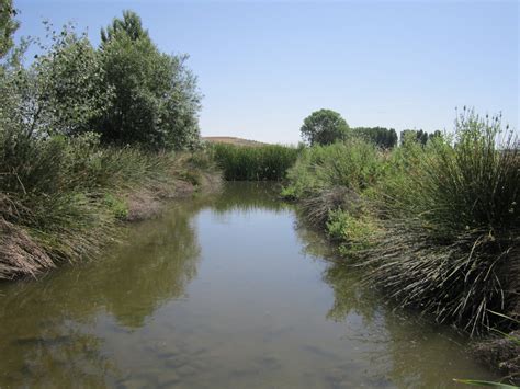 We did not find results for: Periplo: 169.- Arroyo Parque a su paso por Fuente El Saz ...