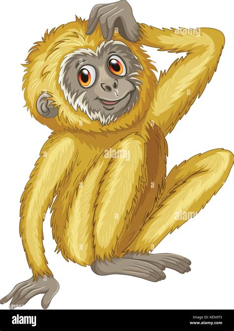 Illustration Of A Close Up Gibbon Stock Vector Image And Art Alamy