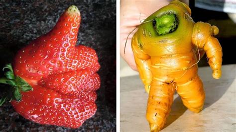 Weird Shaped Fruits And Vegetables New Pics Youtube
