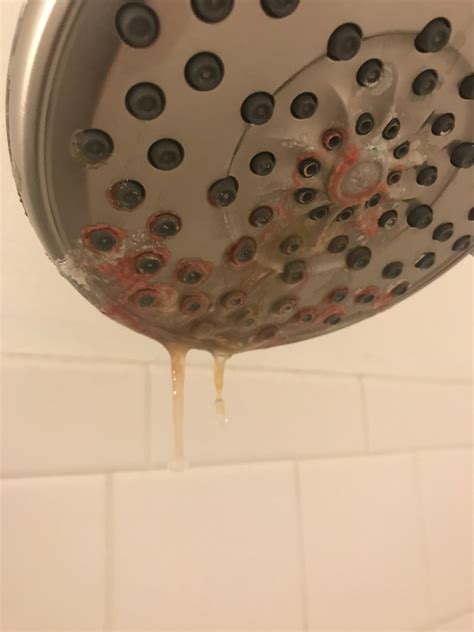 What Is This Substance Its Redpink And Oozing Out Of My Shower Head