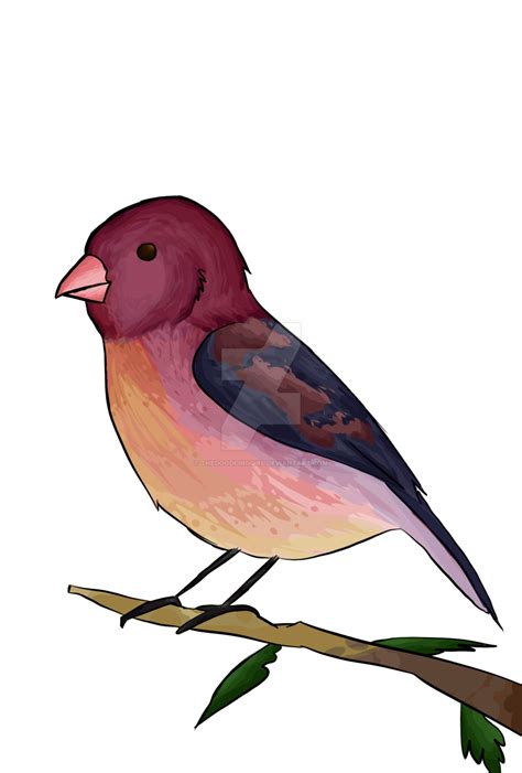 Collection Of Finch Clipart Free Download Best Finch Clipart On