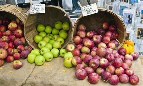 Try Out These Common Apple Varieties