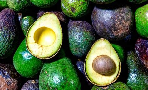 Jul 06, 2020 · the faq page of avocado central, a website run by the hass avocado board, does not offer much information beyond, oxidation (exposure to air) can cause the fruit of an avocado and/or guacamole to turn brown. When do Avocados go bad? - KitchenVile