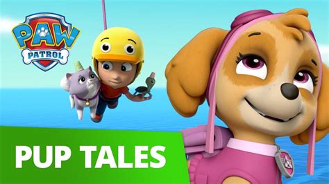 Paw Patrol Pups Save Alex And The Mini Patrol Rescue Episode Paw