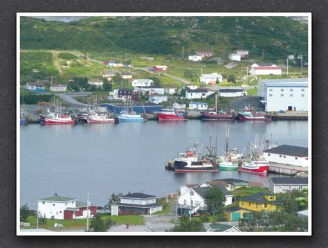 St Anthony Newfoundland Newfoundland Beautiful Places Travel