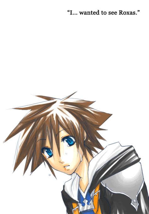 Kingdom Hearts Kingdom Hearts Photo 27963630 Fanpop