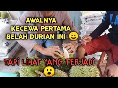 Durian montong adalah jenis durian yang paling terkenal di indonesia. Belah Jenis Durian Yang Paling Populer di saat ini ...