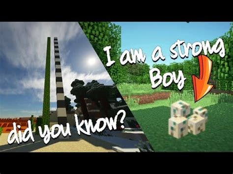 Minecraft Things You Didn T Know Youtube