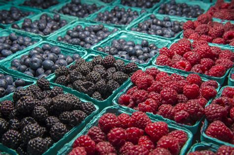 Berry Colorful Free Stock Photo Public Domain Pictures