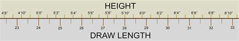 How To Determine Arrow Length For Bow Compound Bow Fitment For Draw