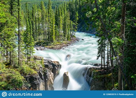 Sunwapta Falls Jasper National Park Stock Image Image