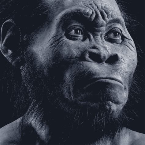 Hominin Species Homo Naledi Discovered 1africa