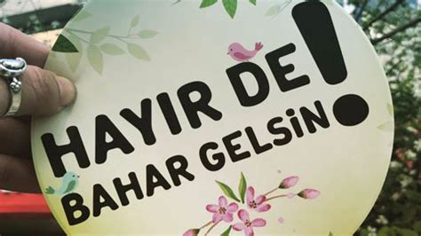 Keko kelimesi kürtçe kökenli keke kelimesinden türetilmiştir.kürtçe keke kelimesi türkçede büyük erkek kardeş, adam, ağabey anlamına gelir. hayır demek - uludağ sözlük