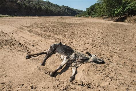 Drought In Southern Africa Creates Power Supply Problems Risk Of