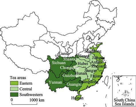 Chinese Tea Producing Regions Five Tastes Traditional Tea