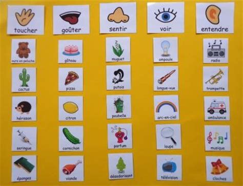 Mon projet autour des 5 sens en maternelle  Projet cinq sens à l'école