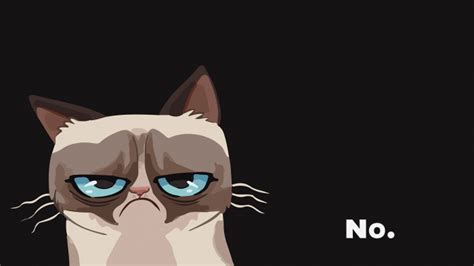 Funny Grumpy Cat Memes Viral Cats Blog