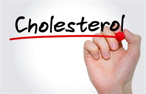 What You Really Need To Know About Cholesterol