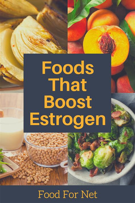 Foods That Boost Estrogen Food For Net