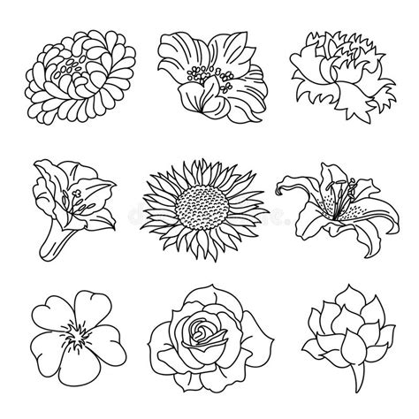 1280x720 how to draw different types of flowers easily. Flowers Collection stock illustration. Illustration of ...